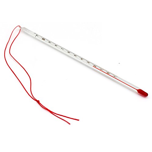 Lantelme 6197 Teethermometer Glas mit Schnur rot – 24 cm – Tee Thermometer Temperaturbereich bis 110 °C Analoge Anzeige - 2