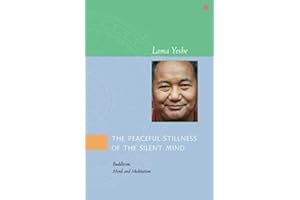 The Peaceful Stillness of the Silent Mind: Buddhism, Mind and Meditation