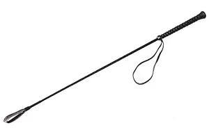 S.Blaze Pet Dog Training Hunter Stick