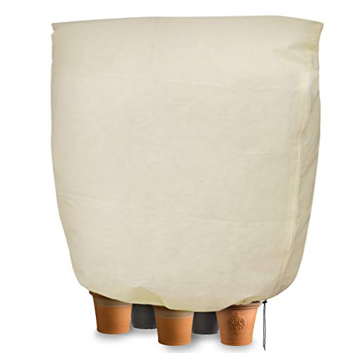 CT Housse hivernage pour plantes, Housse d'hivernage Non tissée 80 g/m² Protection Contre Le Gel des Plantes en Pots et rosiers (240x200cm)