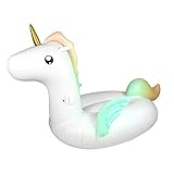 🦄 EL PRODUCTO DE MODA: el flotador de piscina que es el rey de cualquier fiesta de verano