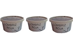 PEYCA Lombrices vivas variedad Eisenia. Tarrina con 20 unidades de lombrices adultas. Lombriz de tierra vivas. Ideal para elaborar compost. Aptas para uso en pesca. Vermicompostador. (3)