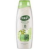 Dalan Onarıcı Bakım Şampuanı 450 ml