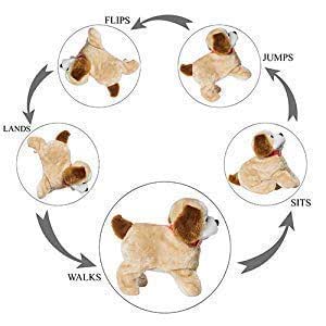 fantastic jumping puppy toy