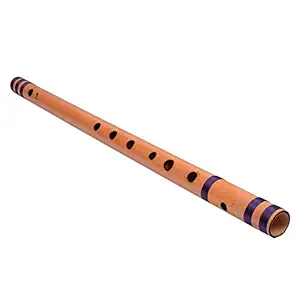 Meena Hindustani Regular Flutes HM7RF C#