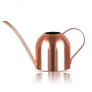 Lilycase Watering Can Indoor Outdoor for Kids House Desk Office Plants and Garden Bonsai Stainless Steel (15oz) Copper
