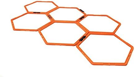 Hexagonal Coordination Ladder