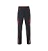 Produktbild Workwear Pants-Level 2 in carbon/red Größe: 54