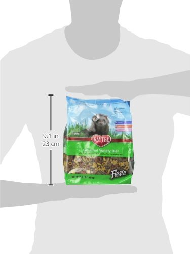 kaytee fiesta ferret food
