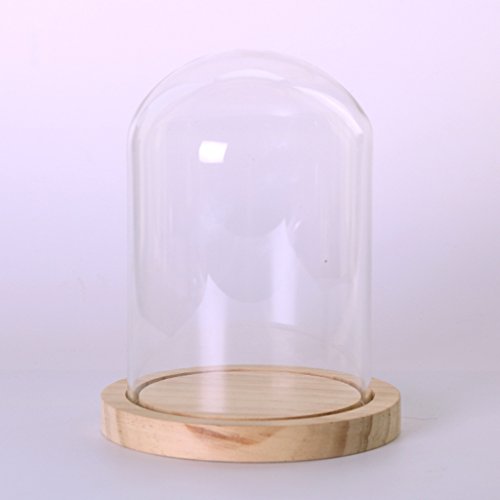 MagiDeal Garten Deko Transparente Glasglocke Glashaube Glassturz mit Holzboden für Pflanzen Blumen - 6