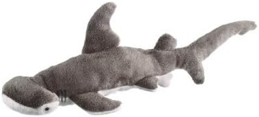 Bonnethead Shark 8 by Wild Life Artist by Wild Life Artist