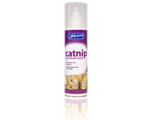 Johnson's Concentrated Catnip Spray for Kittens - Fresh Cat-Nip to Drive Cats Crazy