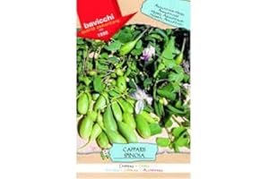 Bavicchi buste semi orto plus (Cappero)