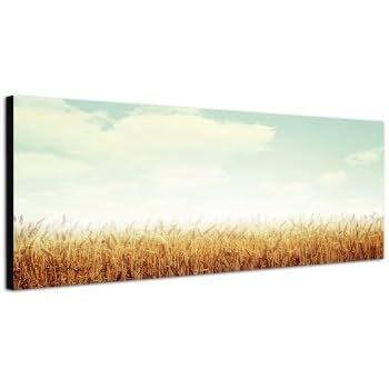 Panorama Leinwandbild 150x50cm - Kornfeld Bei Sonnenuntergang Für Deine Wand
