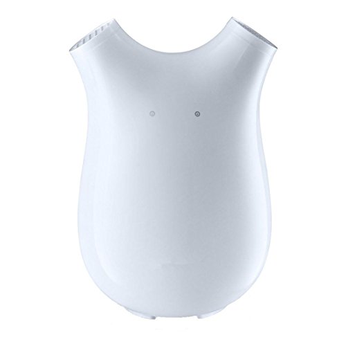 900ML Mini Dehumidifier,Ultra-Quiet Portable Dehumidifiers ,Mould, Moisture in Home, Kitchen, Bedroom, Caravan, Office, Garage, Bathroom