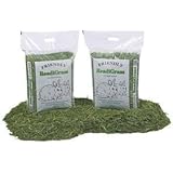 readigrass for guinea pigs