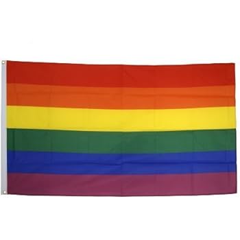 Drapeaux De Paix Arc-en-ciel Colorés Bannière Drapeaux De Défilé Gay