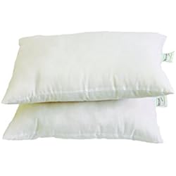 Recron Fiber Dream Pillow - 40 x 61 cm, White, 2 Piece