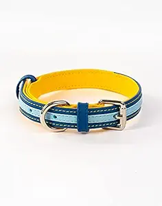 The Pawpstar Co. by Aditya Birla New Age Leather Collar for Dogs (Minion, Small)