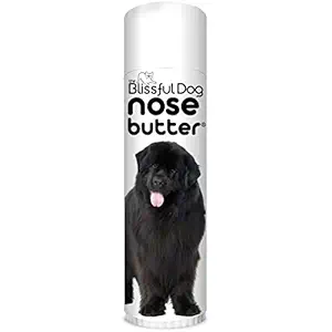 The Blissful Dog UNSC-50OZ-NEWFIE Newfoundland Unscented Nose Butter, 50 oz