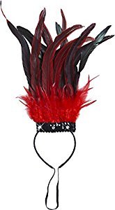 Preisvergleich Produktbild Federschmuck Samba