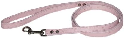 leadPet Leash, 1/2-Inch by 4-Feet, Ostrich Pink