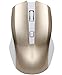 Produktbild No. 01 BY Maus Mouse 2.4G Drahtlose stumm ultradünne Wiederaufladbare Maus Umweltfreundliches ABS-Material 107 * 65 * 39mm Computer-Büro-Spiel 10 Meter Stabile Drahtlose Übertragung (Gold)
