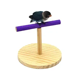 Western Era Bird Playful Wood Sand Table Stand, Cage Accessory Perch Bird Toy for Budgies, Cockatiel, Parrot and Same Size Birds