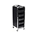 Produktbild 5 Schublade Salon Trolley Friseur Multifunktions Trolley Friseursalon Ablage Tray Beauty Spa Rolling Speicherwagen (Schwarz),Black