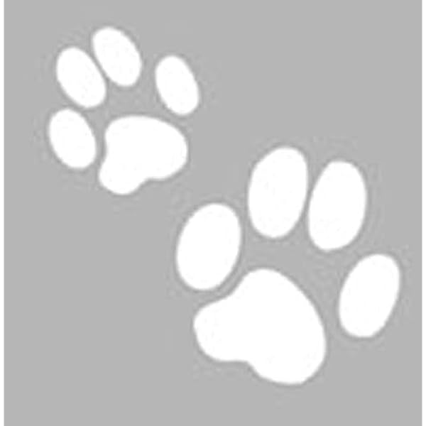 Megacrea Pochoir 8 X 8 Cm Patte De Chat Graine Creative Amazon Fr Cuisine Maison