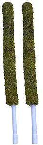 PlantaZee Moss Stick - Coir Stick for Indoor, House and Plant Creepers Support (2.5 ft) Pack of 2