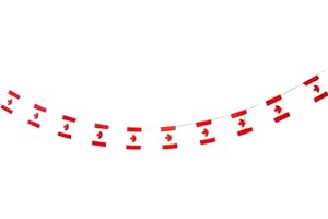 PANDIUI23 Bandera de Canada 40 unidades bandera de Canada, guirnalda Canada 11.4M, banderines Canada, bandera Nacional Canada 14 x 21 cm para Decoraciones de Bares de Jardín (Canadá)