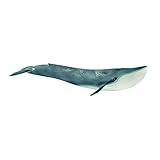 Schleich- Figurine Baleine,...
