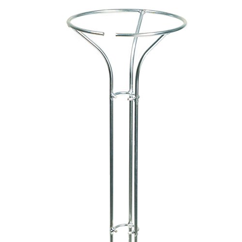 Videx Rosenständer Ruby, Höhe 170cm, verzinkt - 2
