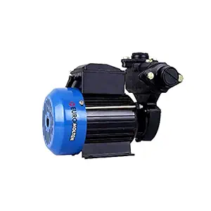 Euro Molten Stenley 1Hp Self Priming Monobloc Domestic Water Pumps for Home Use Copper Pump