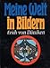 Meine Welt in Bildern : Bildargumente für Theorien, Spekulationen und Erforschtes. by 