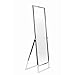 Produktbild Professioneller Standspiegel einseitig Garderobenspiegel Anprobespiegel Therapiespiegel Spiegel - H 165 cm, verchromt