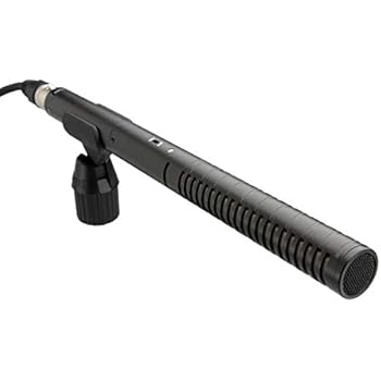 Image result for Shotgun Microphone