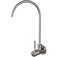 Aquieen SS 304 Kitchen Wall Mounted RO Water Tap with Wall Flange (Cold Water Provision) (Brushed Silver)