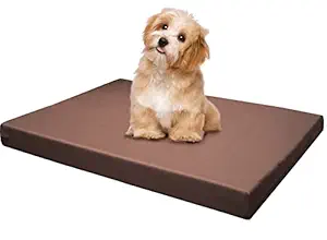 Dogbed4less Heavy Duty Orthopedic Memory Foam Pet Bed with Waterproof Internal Case + 2 Washable Microsuede External Cover for Small to Medium Large Dog