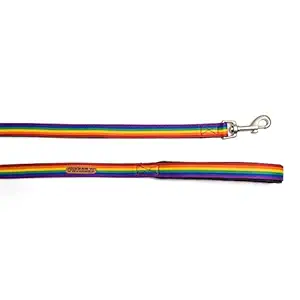 PetWale Dog Leash with Padded Handle for Walking Running Training, Comfortable Heavy Duty (Rainbow Pride, L: 5 feet, W: 0.75