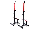 PHL Dumbbell Stand P50 R08 Up To 300kg Weight Bench