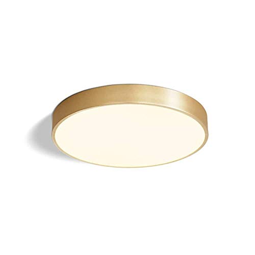 Alysays Led Ceiling Light Modern Simple Classic Copper Light
