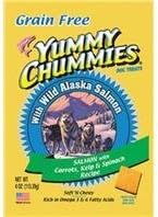 Arctic Paws Arctic Treat Salmon Veg Gf 4Oz