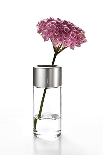 Carus 1014107 Fio Vase Prime, silber - 3