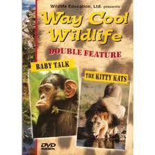 Preisvergleich Produktbild Way Cool Wildlife Baby Talk / The Kitty Kats