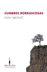 Preisvergleich Produktbild Cumbres Borrascosas (B