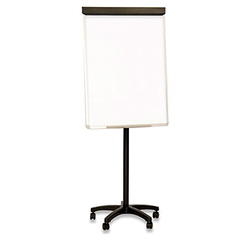 Displaysense Mobile A1 Flipchart Easel and Magnetic Drywipe Whiteboard (Height Adjustable)