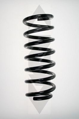 Preisvergleich Produktbild SPIDAN 48537 Fahrwerksfeder