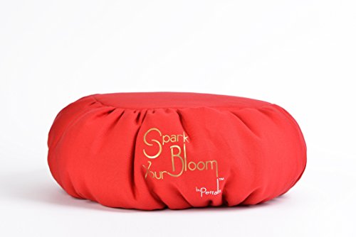 NEW Meditation CUSHION, REMOVABLE COVER, CHAKRA CRYSTALS Inserted, MACHINE WASHABLE, VERY LIGHT, VERY COMFORTABLE, AIDS POSTURE (Red)